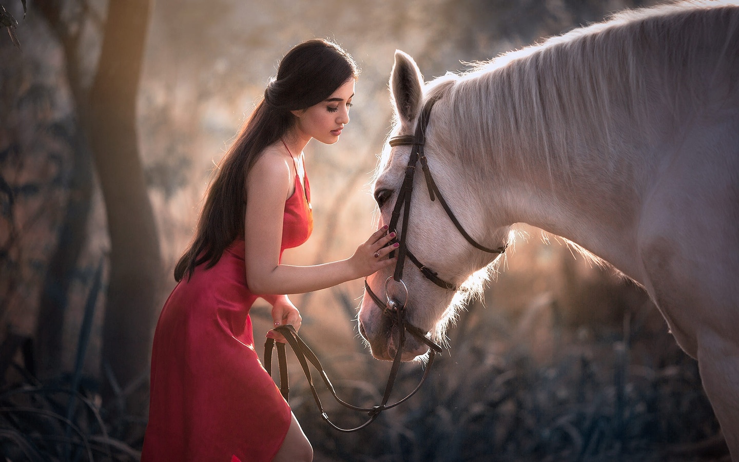 natalia arantseva, horse, outdoors, brunette, red dress, model, beauty, white