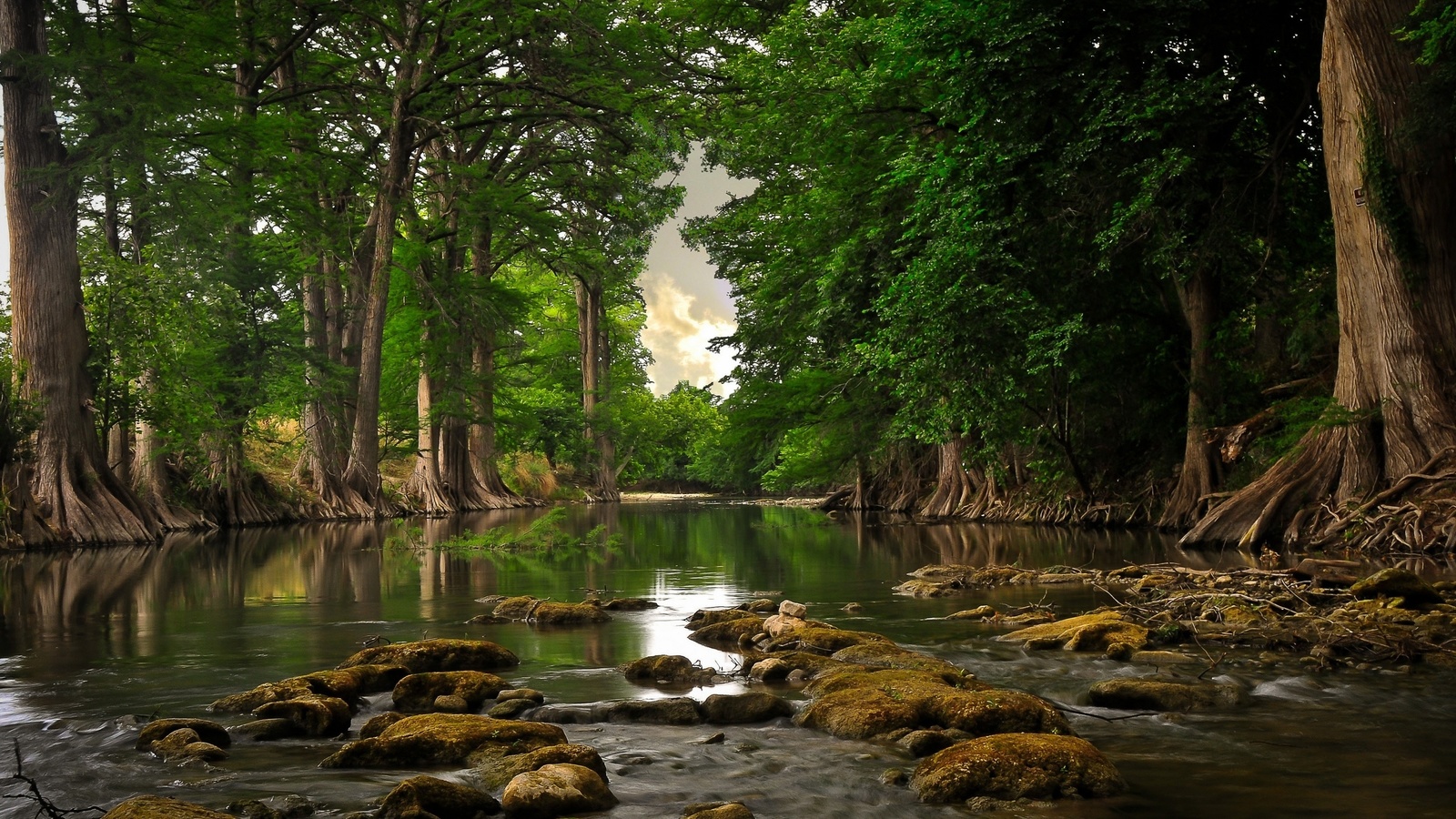 casa, linda, lago, arquitetura, natureza