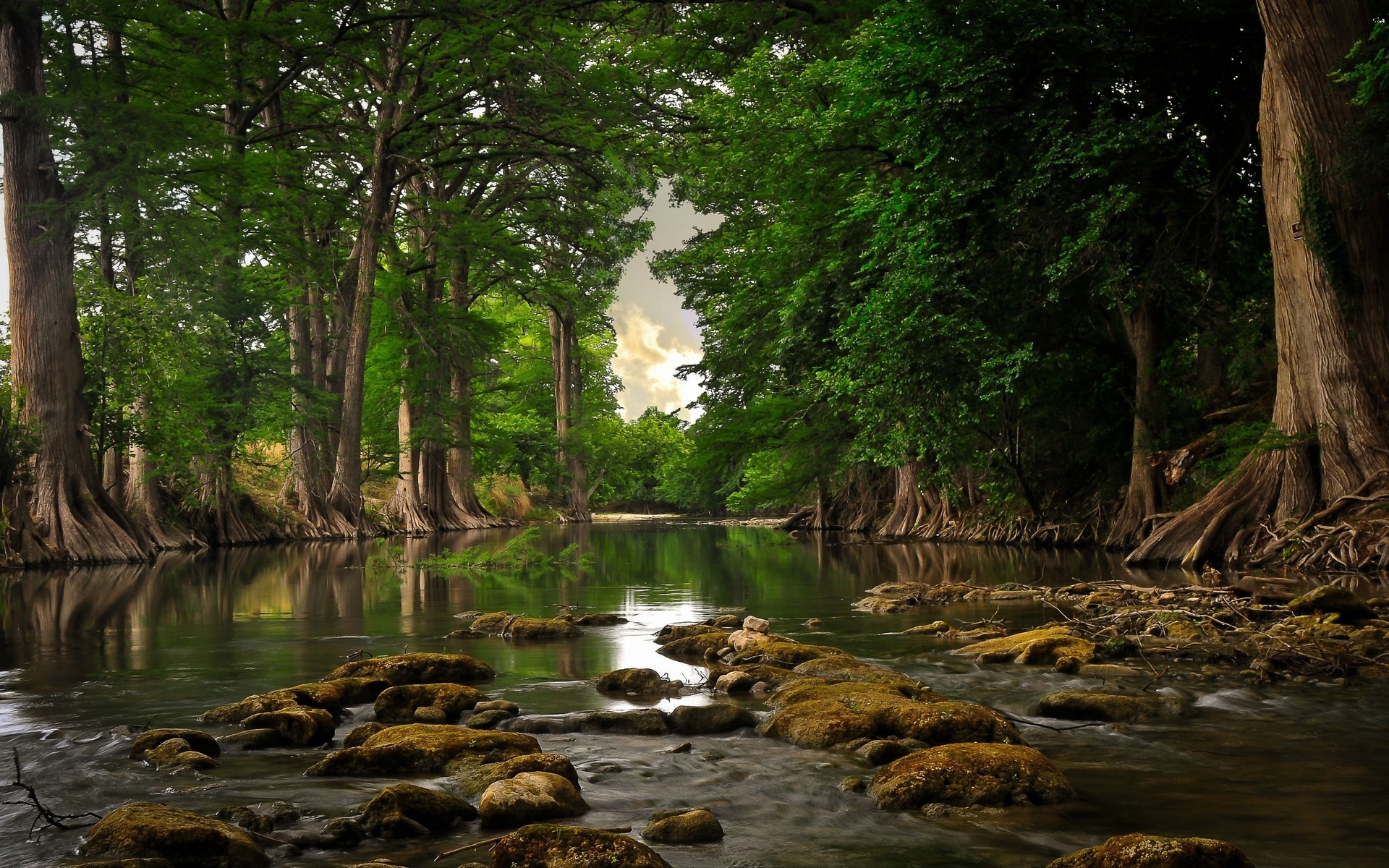 lago, floresta, paisagem, natureza