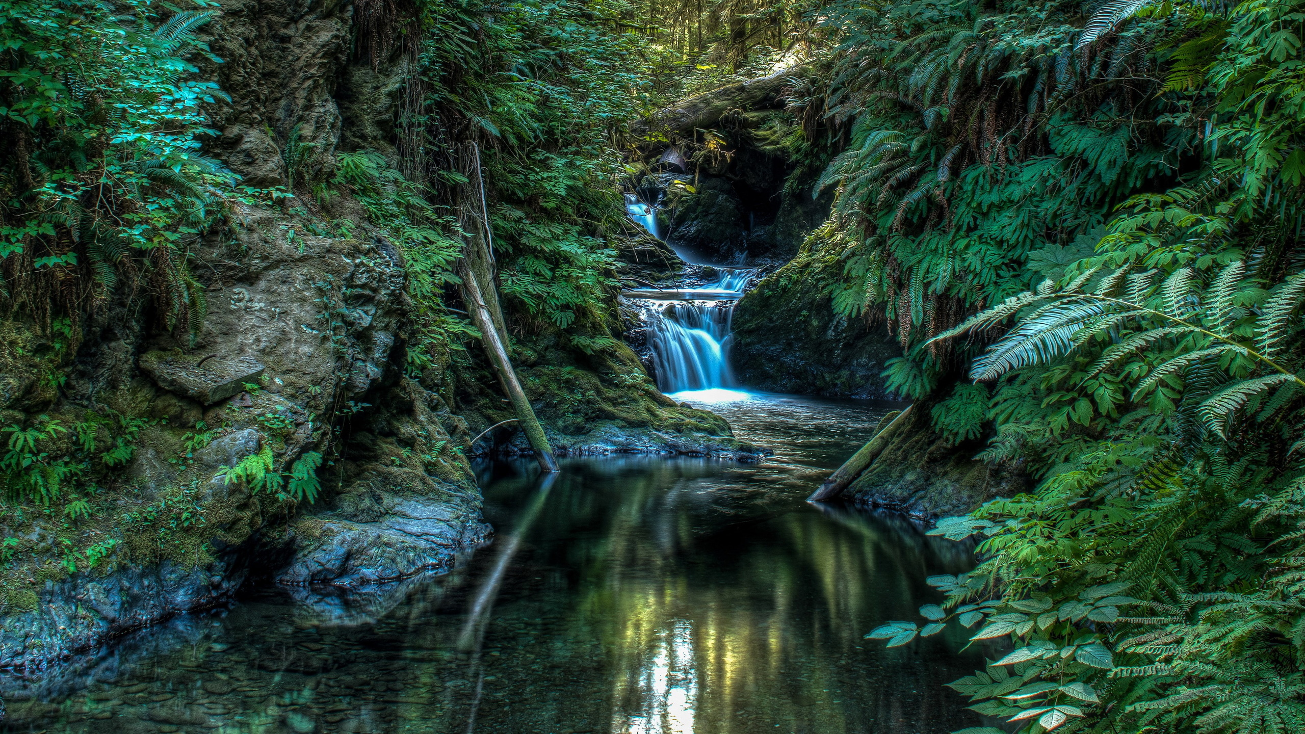 natureza, lago, paisagem, floresta, cachoeira