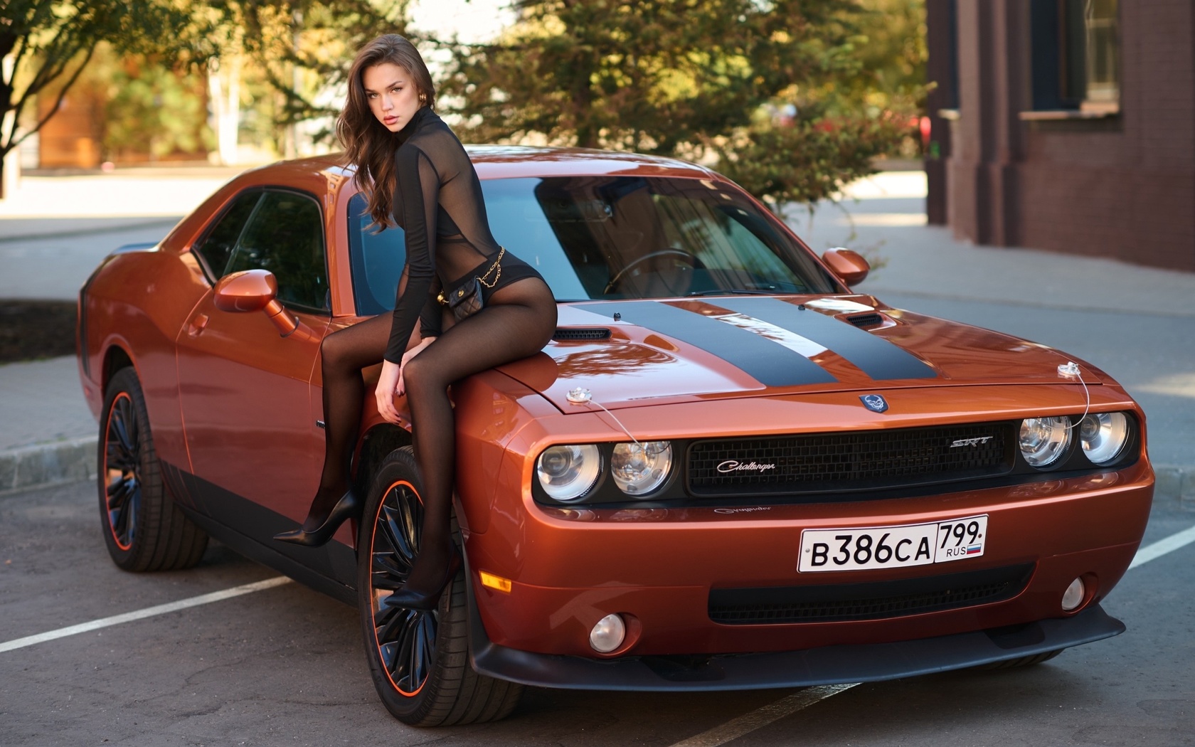 , dodge challenger, brunette, women with cars, women outdoors, american cars, women, bodysuit, muscle cars, srt, model, dodge, ass, sitting