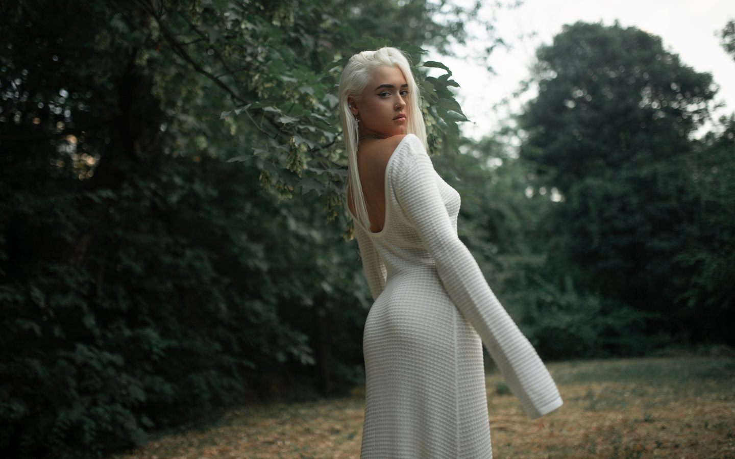 white dress, alexander nesterenko, nature, trees, model, ass, white hair, , , women, sky, rear view, dress