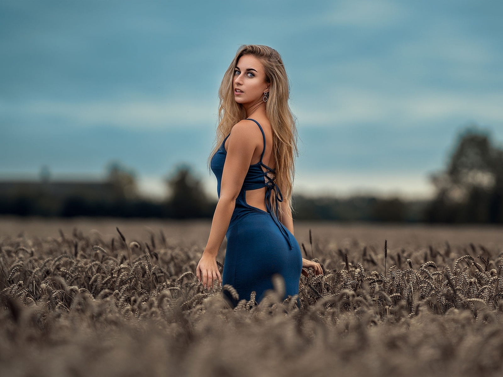 long hair, blue dress, model, field, blonde, pose, backside