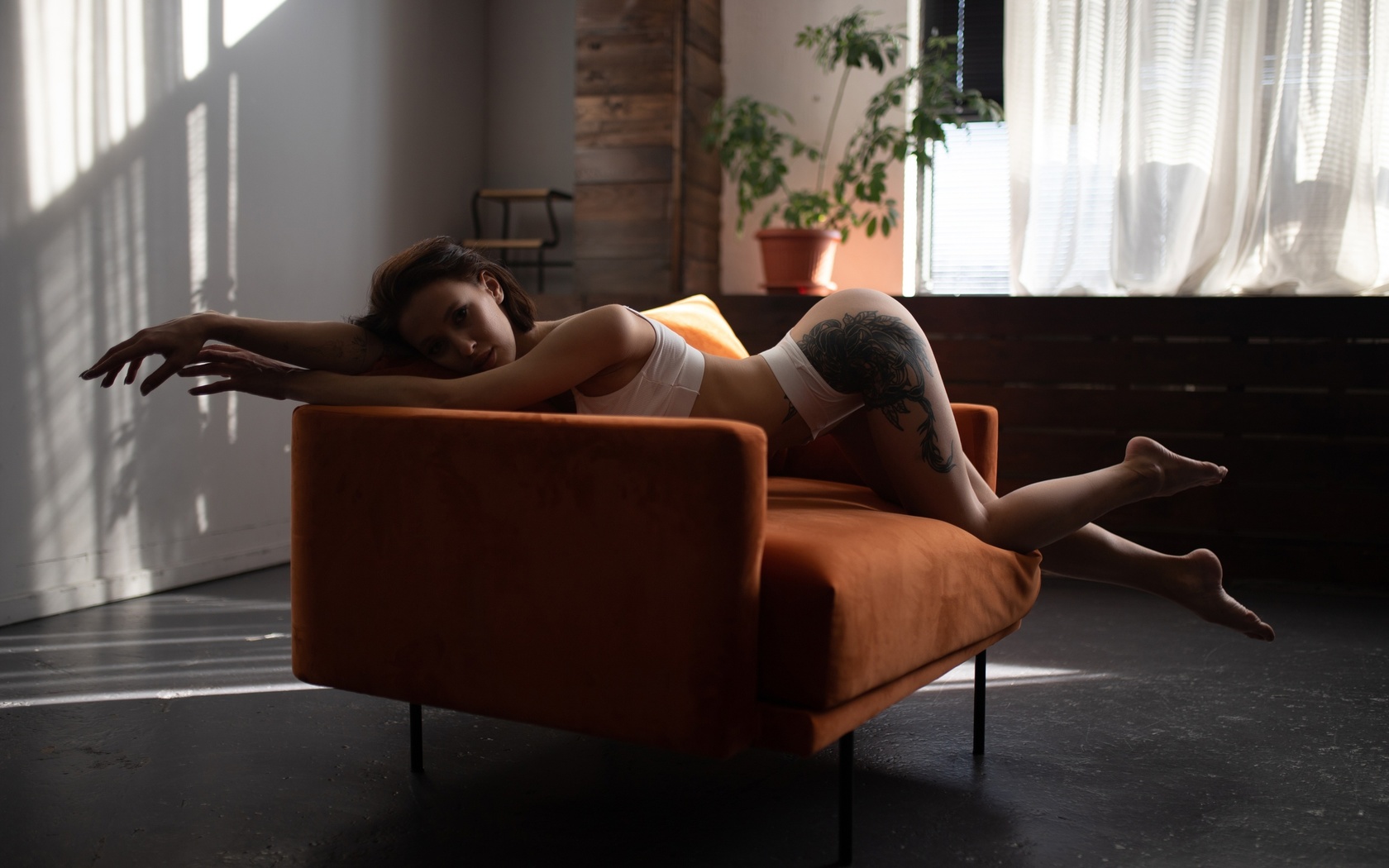 brunette, bent over, alexander nesterenko, brunette, ass, white tops, couch, women, white panties, plants, window, , orange couch, model, curtains, women indoors