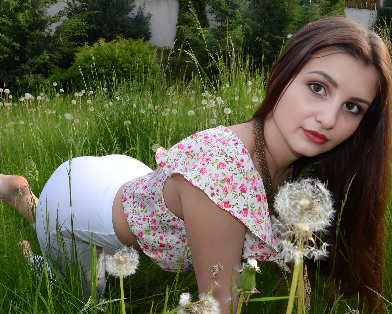 karina, ,  , , , , , , , karina, girl, long hair, brown, cute, pretty, beautiful, meadow of kalachi, bush